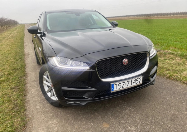 Jaguar F-Pace cena 79999 przebieg: 186000, rok produkcji 2016 z Staszów małe 704